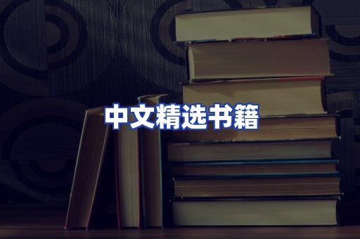 中文精选书籍